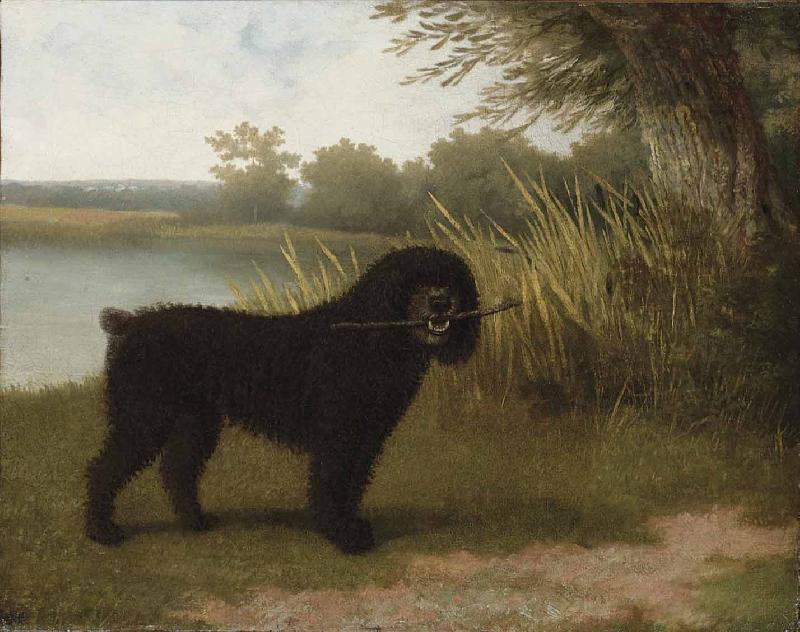 Jacques-Laurent Agasse A black water dog with a stick by a lake oil painting image